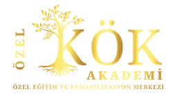 Özel Kök Akademi Logo